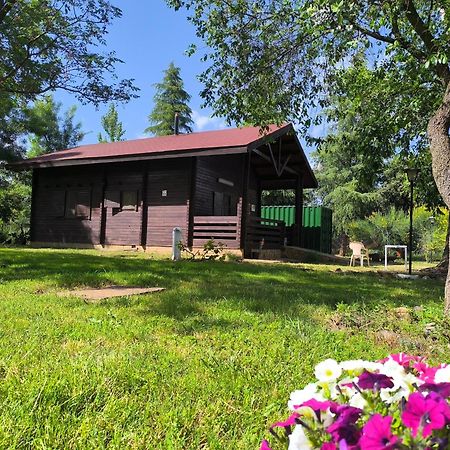 Casas Rurales Tabla Honda El Robledo  Eksteriør bilde